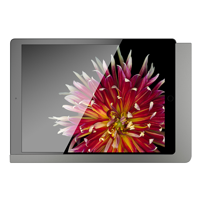 Viveroo Free LAN - iPad Pro 3 - 11&quot; (DarkSteel)