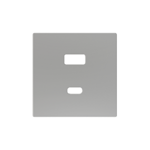Zennio ZS55 - USB-C+A centraalplaat (Zilver)