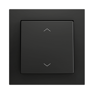 Zennio ZS55 - Bouton poussoir Soft - simple 2-p (Anthracite - Custom) - à partir de 100 pièces/VPE=10
