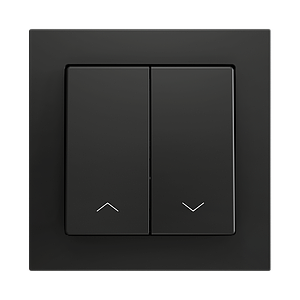 Zennio ZS55 - Bouton poussoir Soft - double 2-p (Anthracite - Custom) - à partir de 100 pièces/VPE=10